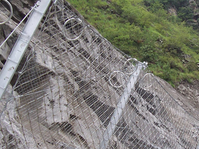 e[(dng)o(h)W(wng)]|(zh)ÉĵķЩ