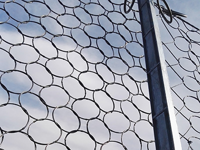 (dng)h(hun)ηo(h)W(wng)